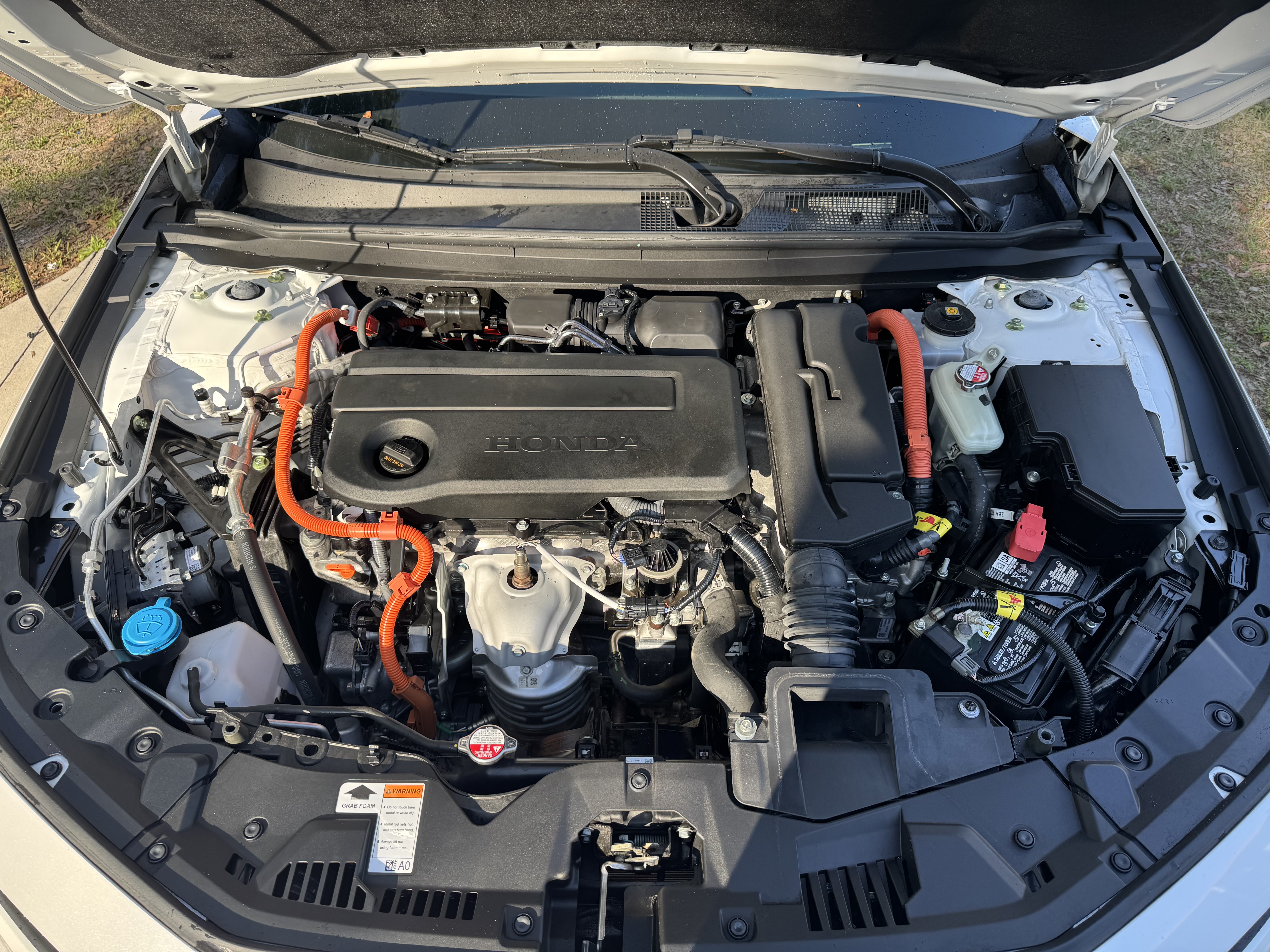 Vehicle exterior after detailing in Lee County